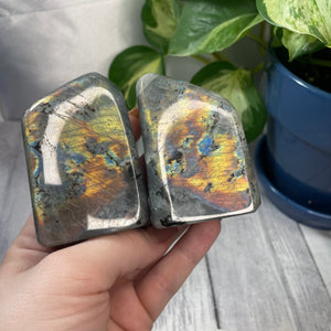 Labradorite Freeform Pair